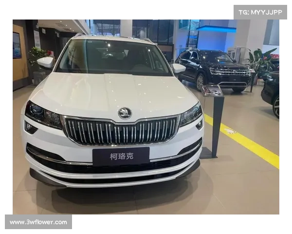 体验斯柯达柯珞克,只是性价比更高一点的大众SUV? 体验斯柯达柯珞克,只是性价比更高一点的大众SUV?