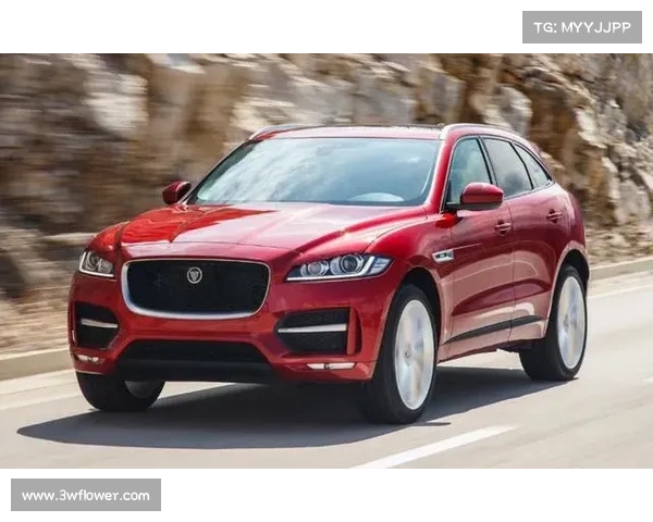 全新捷豹J-Pace细节曝光 或2019年亮相