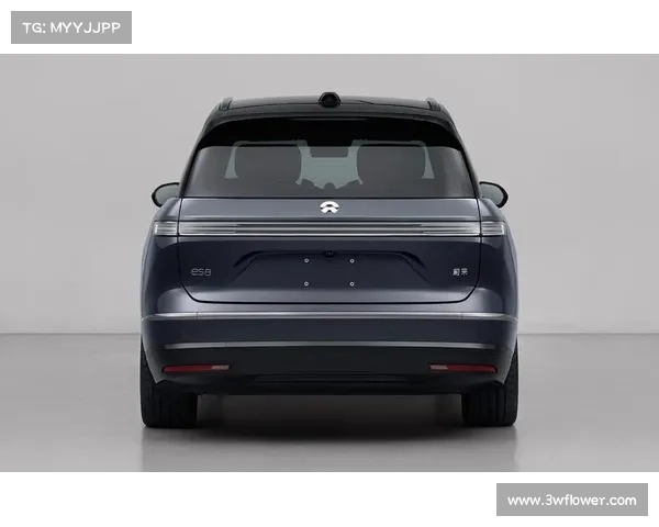 全新蔚来ES8,车身长度逼近5.3米,空间表现如何?